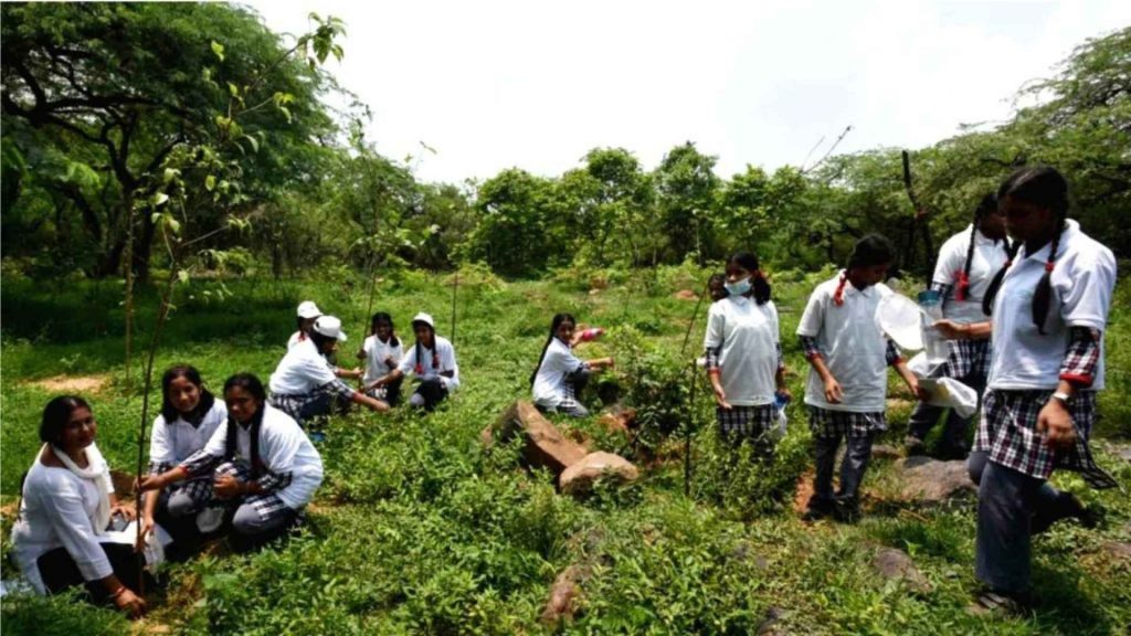 Environment Programs